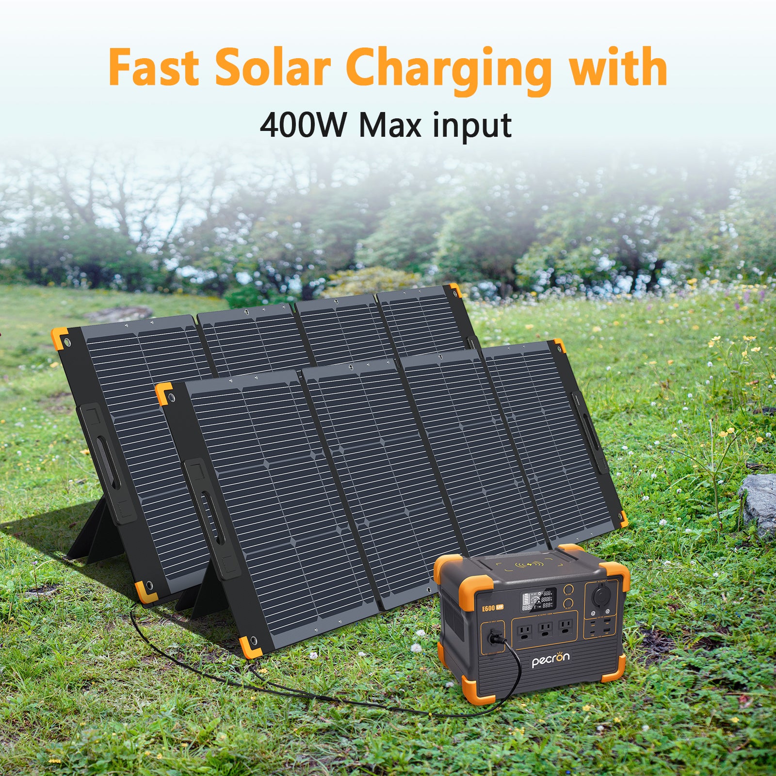 PECRON E600LFP Solar Generator System kit